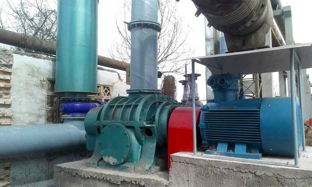 电厂用罗茨鼓久久99精品国产麻豆婷婷洗澡案例